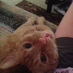 Meet your Posher, Beckie